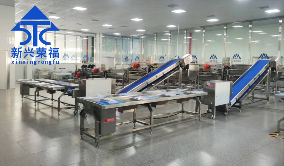 日供蔬菜20噸，新興榮福承建凈菜加工項(xiàng)目完成驗(yàn)收